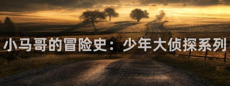 喵趣漫画怎么登录：小马哥的冒险史：少年大侦探系列