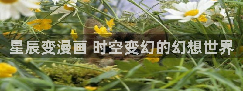 喵趣漫画在线阅读免费：星辰变漫画 时空变幻的幻想世界