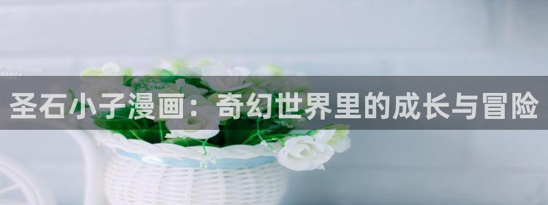 喵趣影视：圣石小子漫画：奇幻世界里的成长与冒险