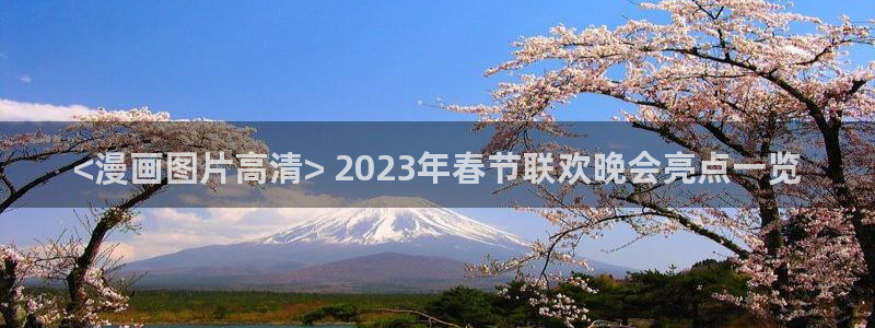 喵趣漫画下载下载：<漫画图片高清> 2023年春节联欢晚会亮点一览