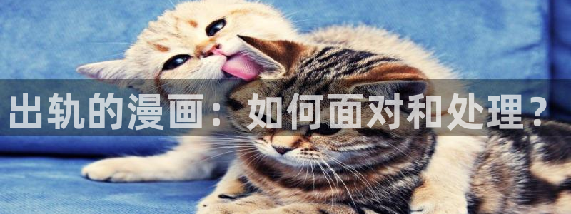 喵趣漫画未删减版：出轨的漫画：如何面对和处理？
