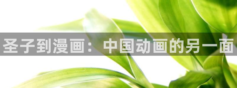 喵趣漫画软件下载：圣子到漫画：中国动画的另一面